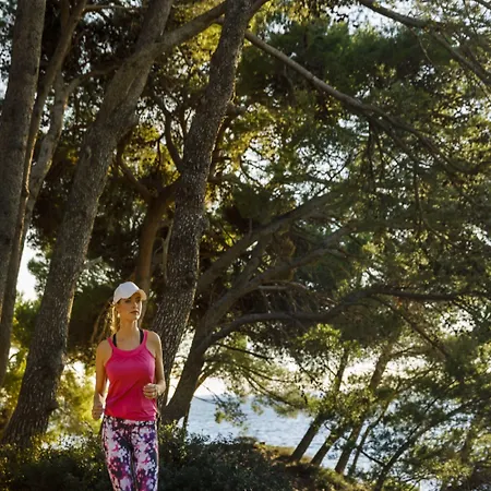 Hotel Valamar Argosy 4*